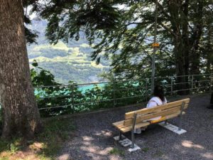 Gurudev Sri Sri Ravi Shankar gazing into the Swiss Alps